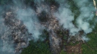 Riau, Endonezya 'daki orman yangınlarının dramatik hava görüntüleri: 124; Kebakan Hutan Riau 4K İHA