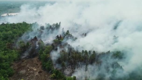 Dramatyczne Zdjęcia Lotnicze Pożarów Lasów Riau Indonezja Kebakaran Hutan Riau — Wideo stockowe