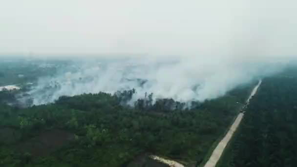 印度尼西亚Riau森林火灾的戏剧性空中镜头 Kebakaran Hutan Riau 4K无人驾驶飞机 — 图库视频影像