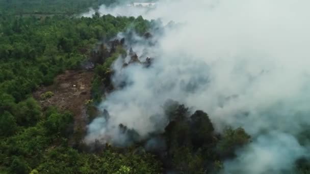 印度尼西亚Riau森林火灾的戏剧性空中镜头 Kebakaran Hutan Riau 4K无人驾驶飞机 — 图库视频影像