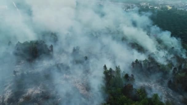 Dramatische Luchtbeelden Van Bosbranden Riau Indonesië Kebakaran Hutan Riau Drone — Stockvideo