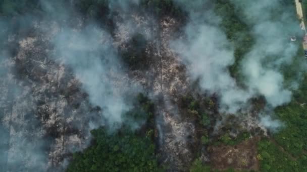 Rekaman Dramatis Tentang Kebakaran Hutan Riau Indonesia Wasiat Kebakaran Hutan — Stok Video