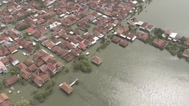 Drone Udara Footage Rumah Warga Yang Kebanjiran Demak Jawa Tengah — Stok Video