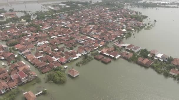 Drone Vidéo Aérienne Des Maisons Des Résidents Inondées Demak Java — Video