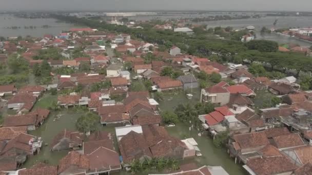 インドネシア デマーク セントラルジャワ インドネシア4Kドローンビデオに住民の家が浸水している空中ドローン映像 ヴィジュアル ウダラシ ベンジャミール デマク インドネシア — ストック動画