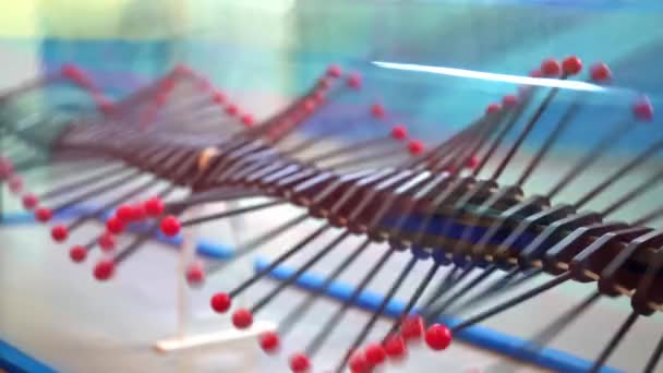 Bola Modelo Movimento Ressonância Ondas Transversais Exibida Museu Ciência Tecnologia — Vídeo de Stock
