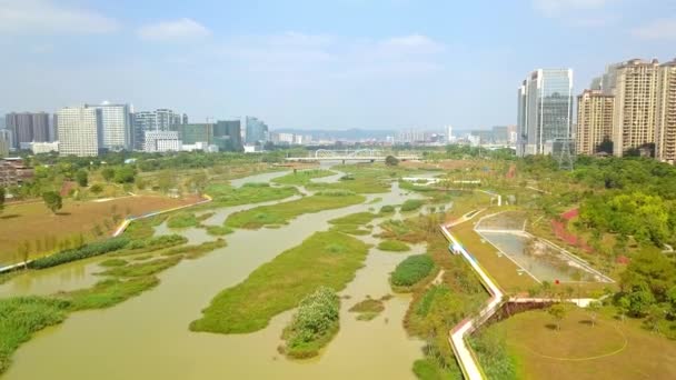都市の湿地公園での河川沼の空中撮影 — ストック動画