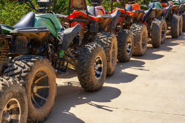 Dağ off-road 'u parkta açık havada geziyor.