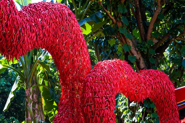 Escultura Coração Feita Pimentas Vermelhas Festival Colheita — Fotografia de Stock