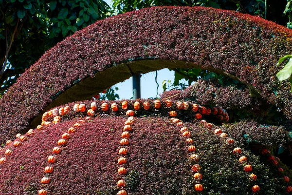 Paisagem Jardim Empilhada Com Abóboras Vários Melões Frutas Festival Colheita — Fotografia de Stock