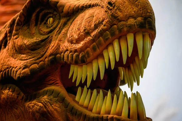 Eski bir Tyrannosaurus rex modelinin yakın çekimi.
