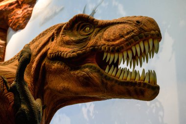 Antik çağlarda dinozor fosili yakın plan