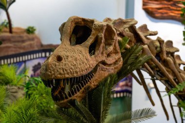 Antik çağlarda dinozor fosili yakın plan