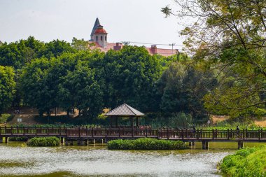 Manzaralı ekolojik sulak arazi manzarası