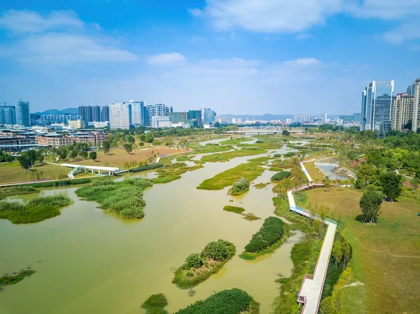 Aerial photography of a river swamp in a wetland park in a city