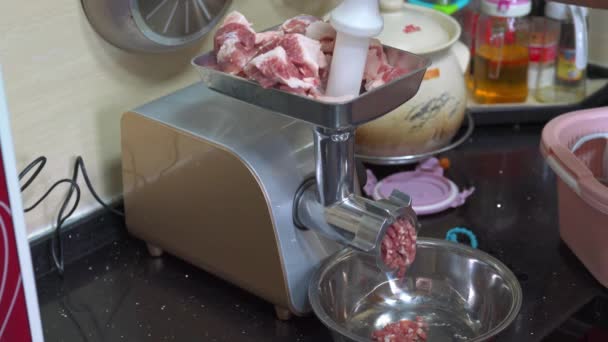 Commercial Meat Grinder Machine Operation Churning Minced Meat — Stock Video