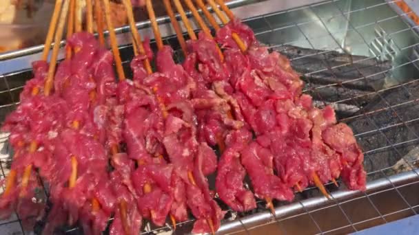 Person Grilling Outdoors Grilled Beef Kebabs — Stok video