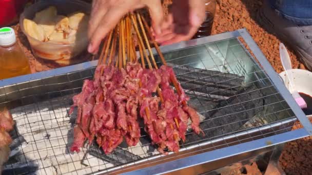 Person Grilling Outdoors Grilled Beef Kebabs — Vídeos de Stock