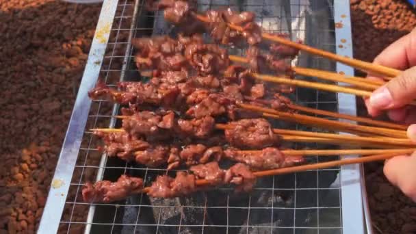 Person Grilling Outdoors Grilled Beef Kebabs — Video Stock