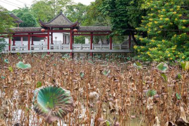Chinese traditional classical lotus pond garden and architectural landscape