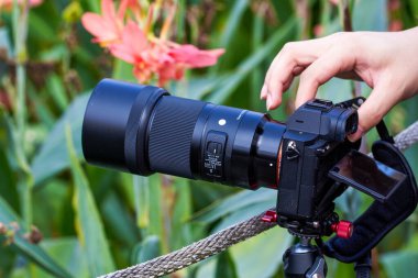 A photographer is operating a professional camera to shoot flowers