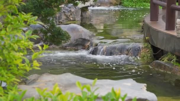 庭の大規模な岩や流れる水の風景 — ストック動画