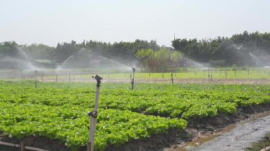 Tarım arazisi ekimi için otomatik sulama ve fıskiye sistemi