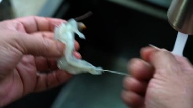 Mutfaktaki bir aşçı taze karidesleri temizliyor.