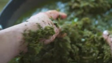 Çin Ching Ming Festivali için geleneksel bir yemek olan beş renkli glutinous pilavı yapma süreci