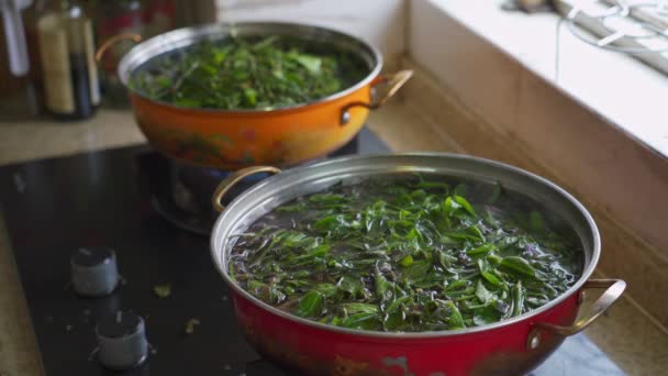 中国清明节传统食品五色糯米的制作方法 — 图库视频影像