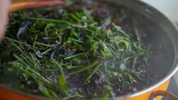 Proceso Hacer Arroz Glutinoso Cinco Colores Alimento Tradicional Para Festival — Vídeo de stock