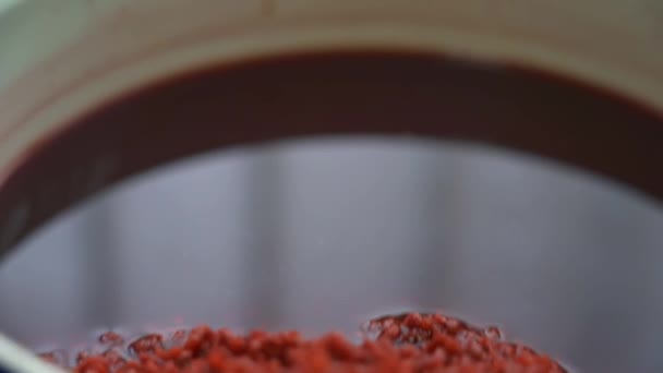 中国清明節の伝統食である5色のもち米を作る過程 — ストック動画