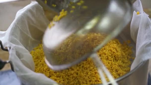 Proces Wytwarzania Pięciokolorowego Kleistego Ryżu Tradycyjnej Żywności Chińskiego Festiwalu Qingming — Wideo stockowe