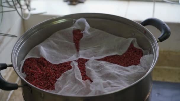 Proces Výroby Pětibarevné Lepkové Rýže Tradiční Jídlo Čínského Qingming Festivalu — Stock video