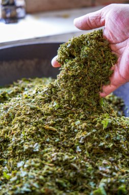 Beş renkli glutinous pilavı yapmak için şifalı otlar gerekiyordu. Geleneksel Çin Mezar Temizleme Günü yemeği.