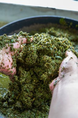 Beş renkli glutinous pilavı yapmak için şifalı otlar gerekiyordu. Geleneksel Çin Mezar Temizleme Günü yemeği.