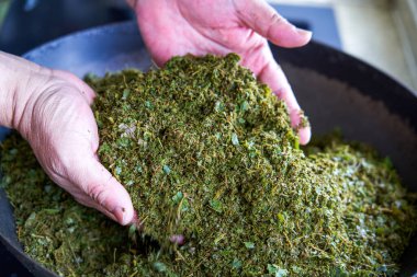 Beş renkli glutinous pilavı yapmak için şifalı otlar gerekiyordu. Geleneksel Çin Mezar Temizleme Günü yemeği.