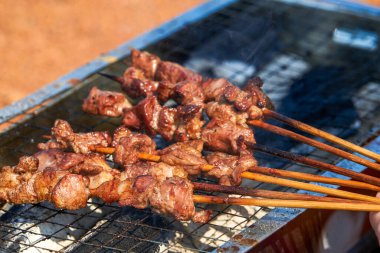 Birisi piknik kampında et şişleri pişiriyor. Lezzetli ve cezbedici bir barbekü.