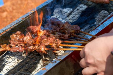 Birisi piknik kampında et şişleri pişiriyor. Lezzetli ve cezbedici bir barbekü.