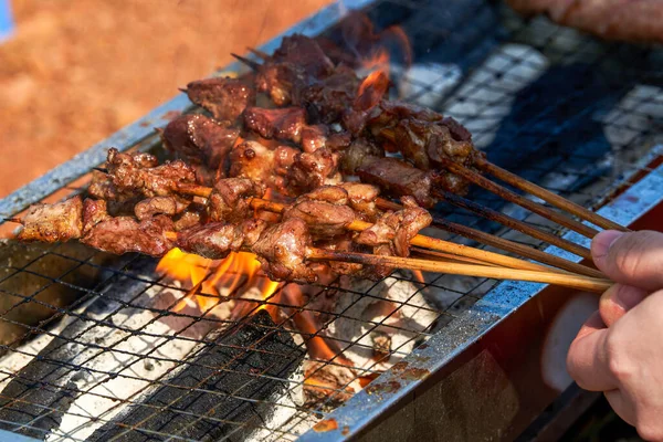 Una Persona Está Asando Brochetas Carne Campamento Picnic Deliciosa Tentadora — Foto de Stock