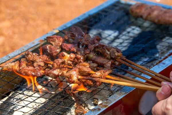 Una Persona Está Asando Brochetas Carne Campamento Picnic Deliciosa Tentadora — Foto de Stock