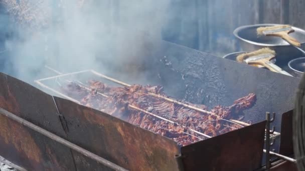 Roaster China Roasts Whole Crispy Skinned Pork Charcoal Fire — Stock Video