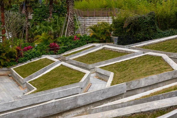 Projeto Escada Para Canteiros Flores Jardim Moderno — Fotografia de Stock