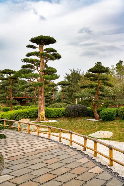 Plantas Paisajes Hermoso Jardín Japonés —  Fotos de Stock