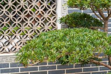 Geleneksel Çin bahçelerindeki kiremitlerden yapılmış içi boş pencereler