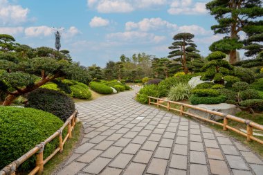 Güzel bir Japon bahçesinde bitkiler ve manzara