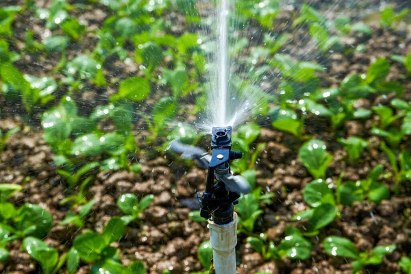 室外农田自动洒水灌溉系统及洒水头 — 图库照片