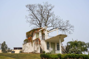 Bahçede bitkilerle kaplı bir ev.