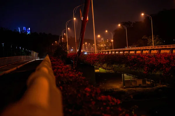Close Νυχτερινή Θέα Της Γέφυρας Κατά Μήκος Του Ποταμού Στην — Φωτογραφία Αρχείου