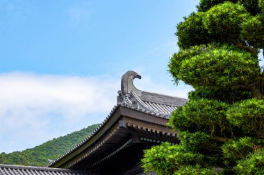 Hong Kong 'daki Tsz Shan Tapınağı' nın ahşap yapısı Japon tarzı Tang tarzı mimari tapınağı.